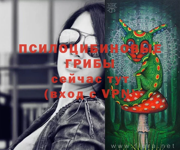 mdpv Бугульма