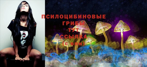 mdpv Бугульма
