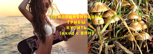 альфа пвп Бородино