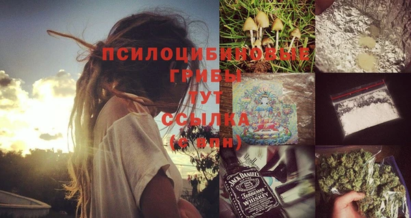 mdpv Бугульма