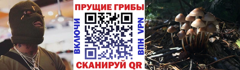 Псилоцибиновые грибы GOLDEN TEACHER  Ковылкино 